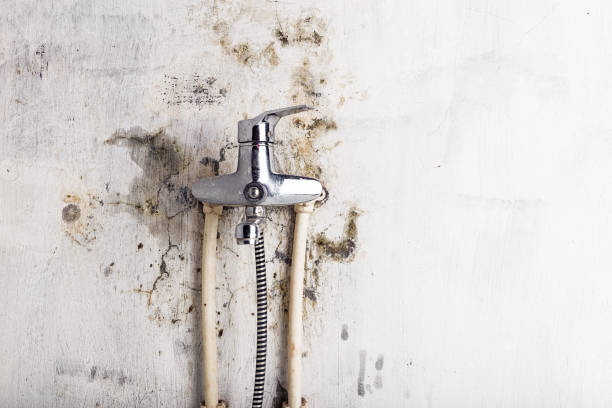 Best Mold Testing  in White Oak, MS