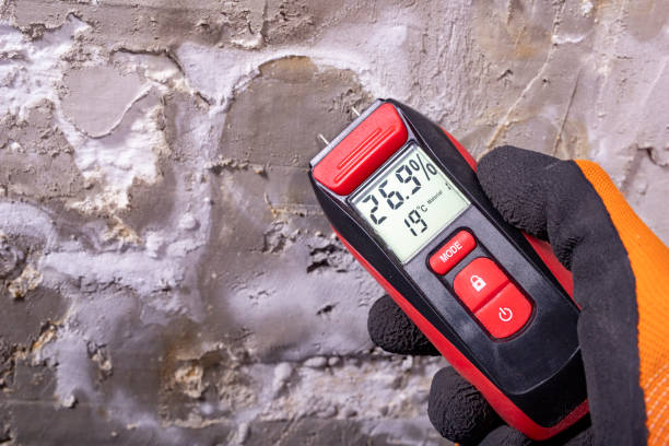 Best Office Mold Removal Services  in White Oak, MS