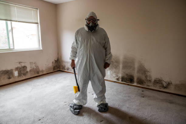Best Mold Testing  in White Oak, MS